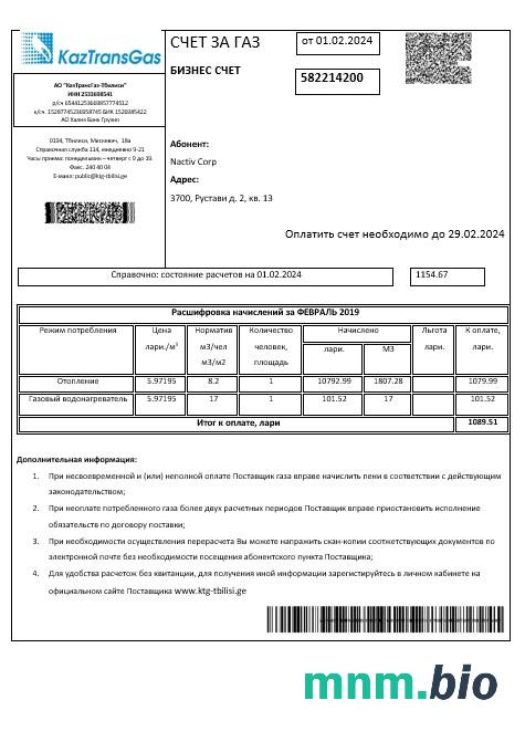 Szablon rachunku za media biznesowe Georgia KaztransGas w formatach Word i PDF, w pełni edytowalny